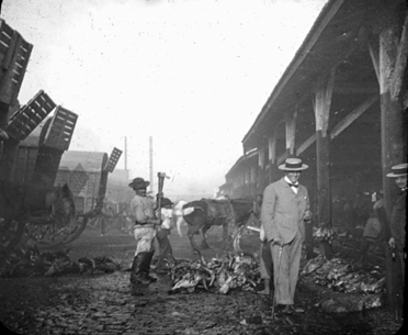 Matadero de Buenos Aires 1897
